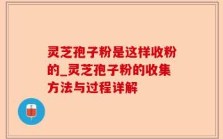 灵芝孢子粉是这样收粉的_灵芝孢子粉的收集方法与过程详解