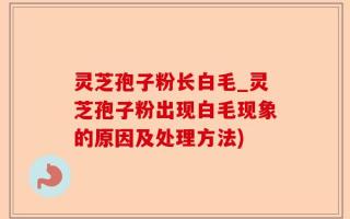 灵芝孢子粉长白毛_灵芝孢子粉出现白毛现象的原因及处理方法)