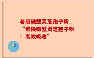 老段破壁灵芝孢子粉_“老段破壁灵芝孢子粉：高效吸收”