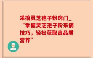 采摘灵芝孢子粉窍门_“掌握灵芝孢子粉采摘技巧，轻松获取高品质营养”