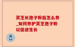 灵芝长孢子粉后怎么养_如何养护灵芝孢子粉以促进生长