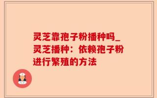 灵芝靠孢子粉播种吗_灵芝播种：依赖孢子粉进行繁殖的方法