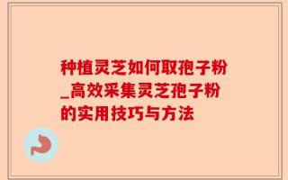 种植灵芝如何取孢子粉_高效采集灵芝孢子粉的实用技巧与方法