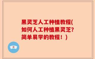 黑灵芝人工种植教程(如何人工种植黑灵芝？简单易学的教程！)