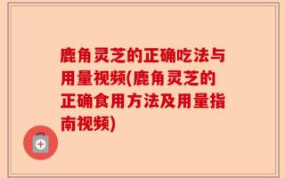 鹿角灵芝的正确吃法与用量视频(鹿角灵芝的正确食用方法及用量指南视频)