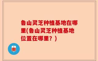 鲁山灵芝种植基地在哪里(鲁山灵芝种植基地位置在哪里？)