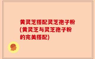 黄灵芝搭配灵芝孢子粉(黄灵芝与灵芝孢子粉的完美搭配)
