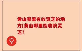 黄山哪里有收灵芝的地方(黄山哪里能收购灵芝？