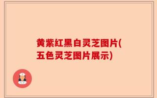 黄紫红黑白灵芝图片(五色灵芝图片展示)