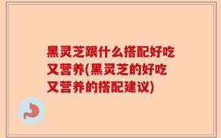 黑灵芝跟什么搭配好吃又营养(黑灵芝的好吃又营养的搭配建议)