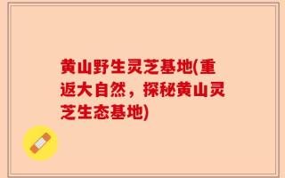 黄山野生灵芝基地(重返大自然，探秘黄山灵芝生态基地)