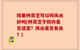 院里种灵芝可以吗风水好吗(种灵芝于院内是否适宜？风水是否有关？)