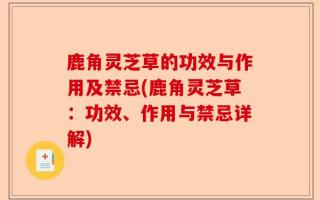 鹿角灵芝草的功效与作用及禁忌(鹿角灵芝草：功效、作用与禁忌详解)