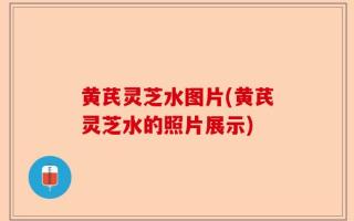 黄芪灵芝水图片(黄芪灵芝水的照片展示)