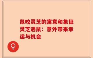 鼠咬灵芝的寓意和象征灵芝遇鼠：意外带来幸运与机会