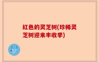 红色的灵芝树(珍稀灵芝树迎来丰收季)