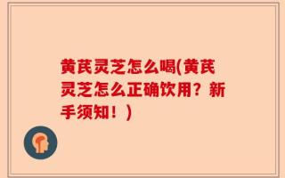 黄芪灵芝怎么喝(黄芪灵芝怎么正确饮用？新手须知！)