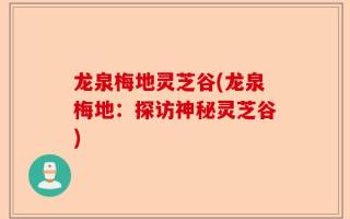 龙泉梅地灵芝谷(龙泉梅地：探访神秘灵芝谷)