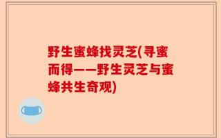 野生蜜蜂找灵芝(寻蜜而得——野生灵芝与蜜蜂共生奇观)