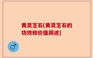 黄灵芝石(黄灵芝石的功效和价值简述)
