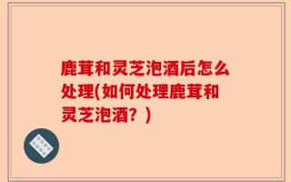 鹿茸和灵芝泡酒后怎么处理(如何处理鹿茸和灵芝泡酒？)