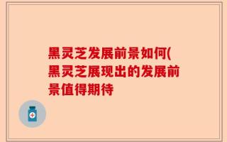 黑灵芝发展前景如何(黑灵芝展现出的发展前景值得期待