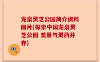 龙泉灵芝公园简介资料图片(探索中国龙泉灵芝公园 美景与灵药并存)