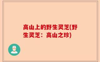 高山上的野生灵芝(野生灵芝：高山之珍)