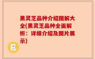 黑灵芝品种介绍图解大全(黑灵芝品种全面解析：详细介绍及图片展示)