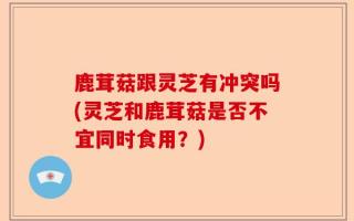 鹿茸菇跟灵芝有冲突吗(灵芝和鹿茸菇是否不宜同时食用？)