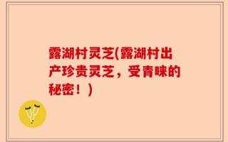 露湖村灵芝(露湖村出产珍贵灵芝，受青睐的秘密！)