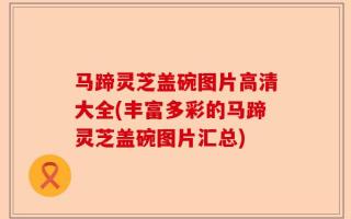 马蹄灵芝盖碗图片高清大全(丰富多彩的马蹄灵芝盖碗图片汇总)