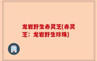 龙岩野生赤灵芝(赤灵芝：龙岩野生珍珠)