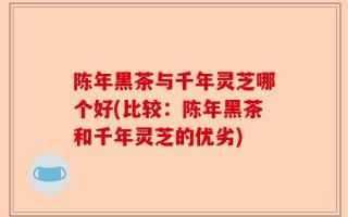 陈年黑茶与千年灵芝哪个好(比较：陈年黑茶和千年灵芝的优劣)