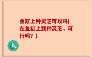 鱼缸上种灵芝可以吗(在鱼缸上栽种灵芝，可行吗？)