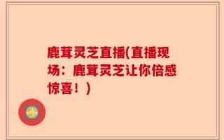 鹿茸灵芝直播(直播现场：鹿茸灵芝让你倍感惊喜！)