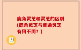 鹿角灵芝和灵芝的区别(鹿角灵芝与普通灵芝有何不同？)