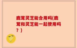 鹿茸灵芝能合用吗(鹿茸和灵芝能一起使用吗？)