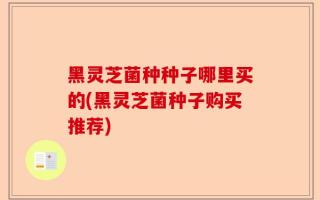 黑灵芝菌种种子哪里买的(黑灵芝菌种子购买推荐)