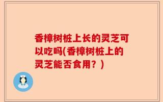 香樟树桩上长的灵芝可以吃吗(香樟树桩上的灵芝能否食用？)