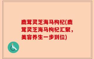 鹿茸灵芝海马枸杞(鹿茸灵芝海马枸杞汇聚，美容养生一步到位)