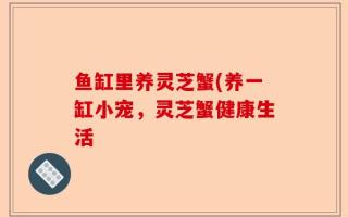鱼缸里养灵芝蟹(养一缸小宠，灵芝蟹健康生活
