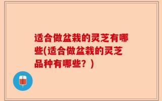 适合做盆栽的灵芝有哪些(适合做盆栽的灵芝品种有哪些？)