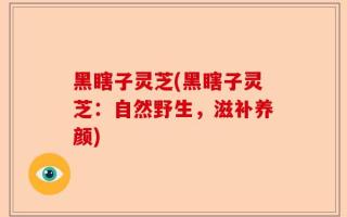 黑瞎子灵芝(黑瞎子灵芝：自然野生，滋补养颜)