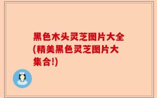 黑色木头灵芝图片大全(精美黑色灵芝图片大集合!)