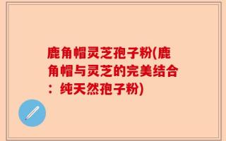 鹿角帽灵芝孢子粉(鹿角帽与灵芝的完美结合：纯天然孢子粉)