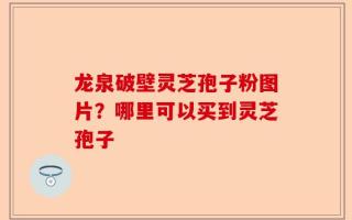 龙泉破壁灵芝孢子粉图片？哪里可以买到灵芝孢子