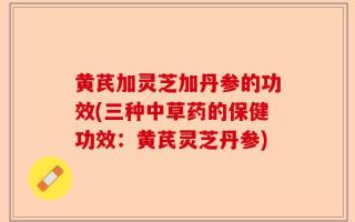 黄芪加灵芝加丹参的功效(三种中草药的保健功效：黄芪灵芝丹参)