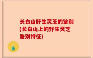 长白山野生灵芝的鉴别(长白山上的野生灵芝鉴别特征)