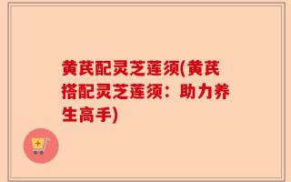 黄芪配灵芝莲须(黄芪搭配灵芝莲须：助力养生高手)